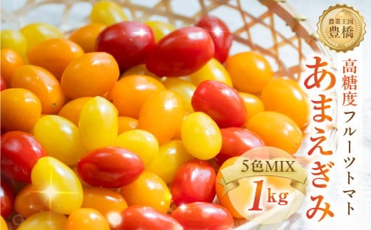 【先行予約】農業王国豊橋の『フルーツトマト　あまえぎみクレア３色MIX（レッド、オレンジ、イエロー）』１kgバラ