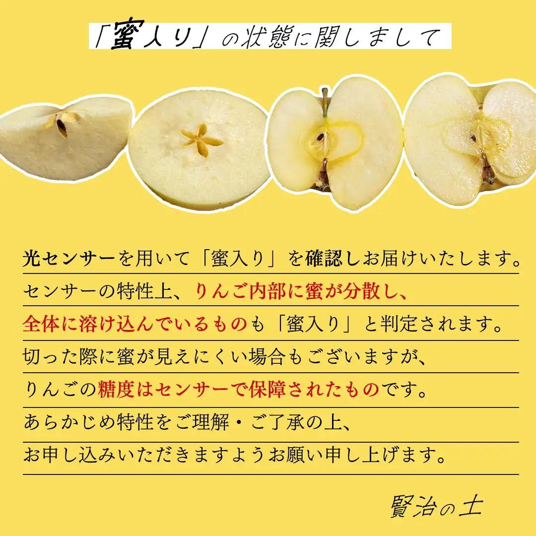 【先行予約】自家用 りんご そばかす「冬恋」 (AI023)りんご