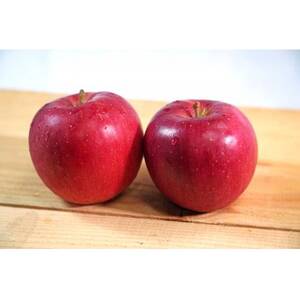 【2025年12月発送予定】糖度13度以上保証!シナノスイートおもてなし用約3kg(6～18玉)【配送不可地域：離島】【1682987】