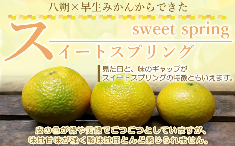 ＜愛媛県西予市産 スイートスプリング 家庭用 約4kg＞ 訳あり ワケアリ 果物 くだもの ミカン 蜜柑 柑橘 甘い おいしい フルーツ サイズ不揃い ご自宅用 果実 果肉 特産品 段畑みかん 愛媛県