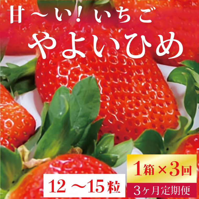 【2025年1月より順次発送】【3ヶ月定期便】甘～い！いちご　やよいひめ　12粒～15粒入り　1箱×3回(V-16)