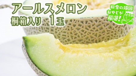 アールスメロン 1個 桐箱入り ギフト 贈答 フルーツ 果物