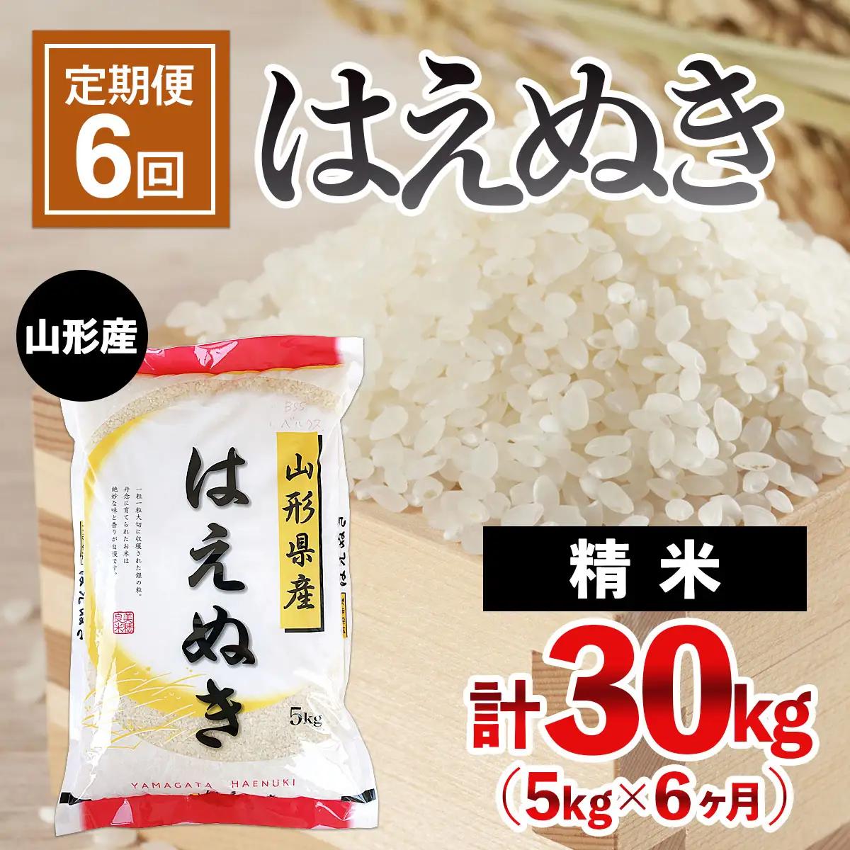 【定期便6回】山形産 はえぬき 5kg×6ヶ月(計30kg)
