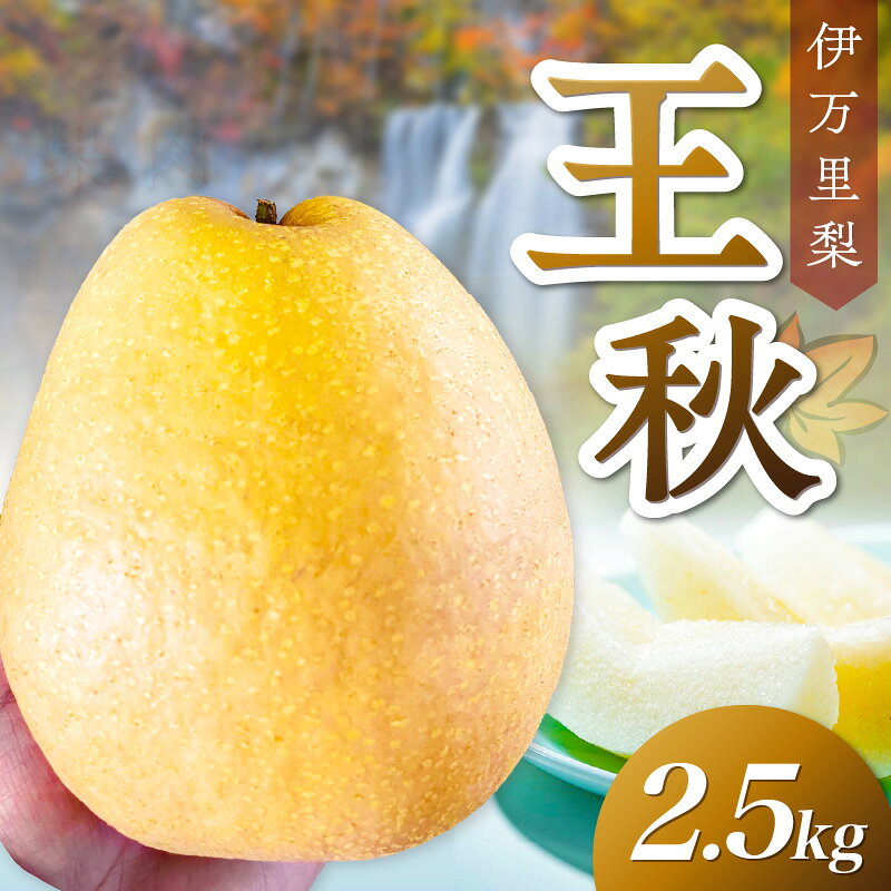 【ふるさと納税】【 数量限定 】 伊万里梨 王秋 2.5kg 113-B1183 【 期間限定 梨 4〜8玉 フルーツ 果物 くだもの なし ナシ 11月発送予定 】