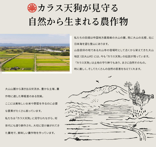 【先行予約】KT-02　大山カラス天狗 大山のこしひかり10kg【令和8年10月以降発送】