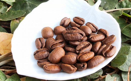 No.174 焙煎したてのおすすめドリップパック 14g×30