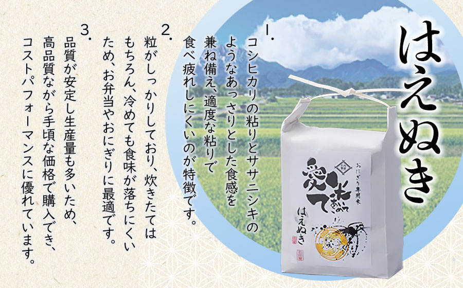 【令和8年産先行予約】 はえぬき　精米 10kg（5kg×2袋）　山形県鶴岡市産　愛米て　| 米 こめ コメ 10キロ ブランド米 庄内米 ごはん ご飯 美味しい 国産 おにぎり 農家直送 おすすめ 