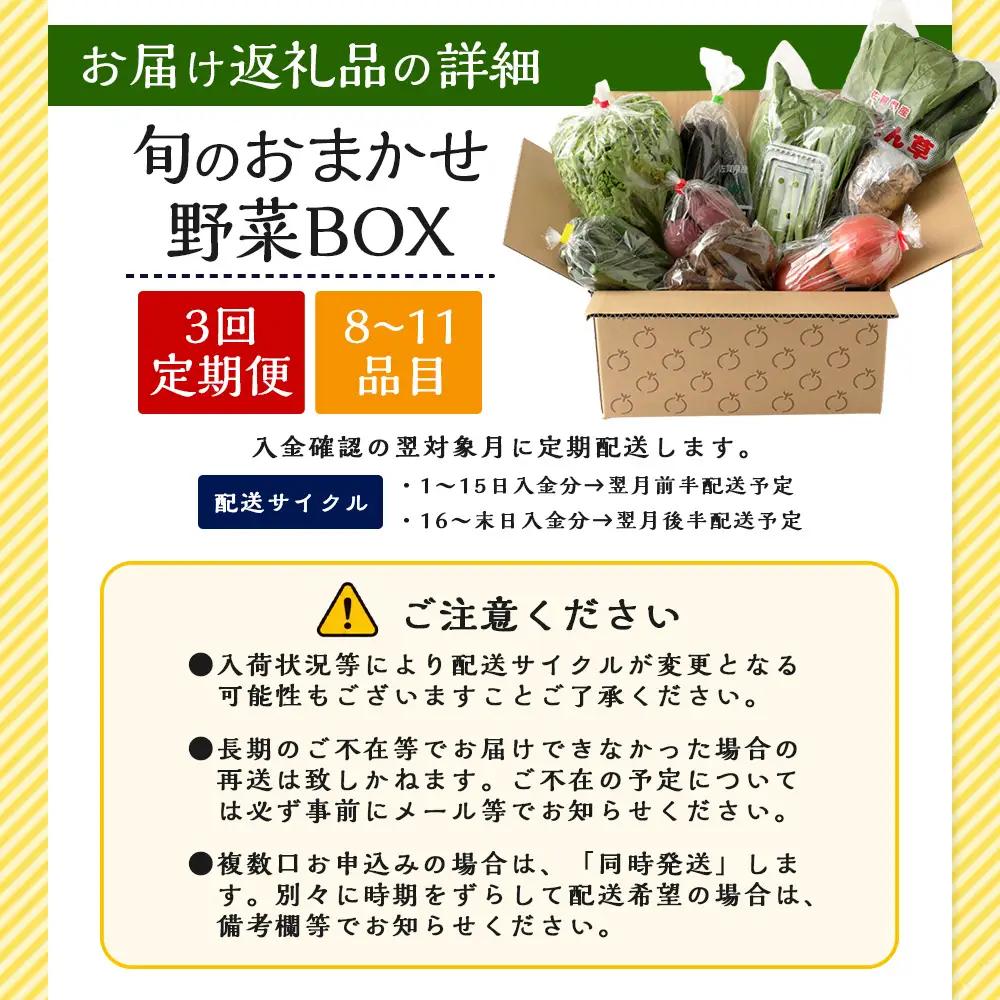  【３ヶ月定期便】旬のおまかせ 野菜BOX 野菜定期便 旬の野菜 詰め合わせ 野菜 新鮮 野菜8～10品目 C-47