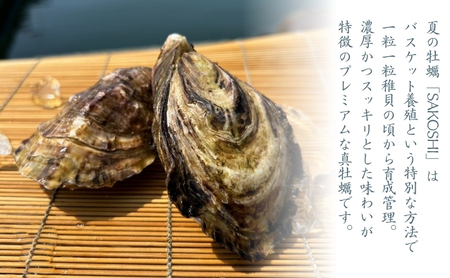 牡蠣 SAKOSHI 生食用 殻付き 9個～14個 1kg牡蠣ナイフ付き [ 坂越かき プレミアム 生牡蠣 夏牡蠣 かき カキ 三倍体 ]