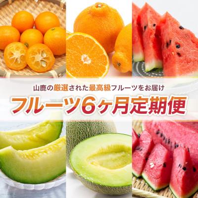 ふるさと納税 山鹿市 【発送月固定定期便】フルーツ6ヶ月定期便(2月〜7月)(山鹿市)全6回