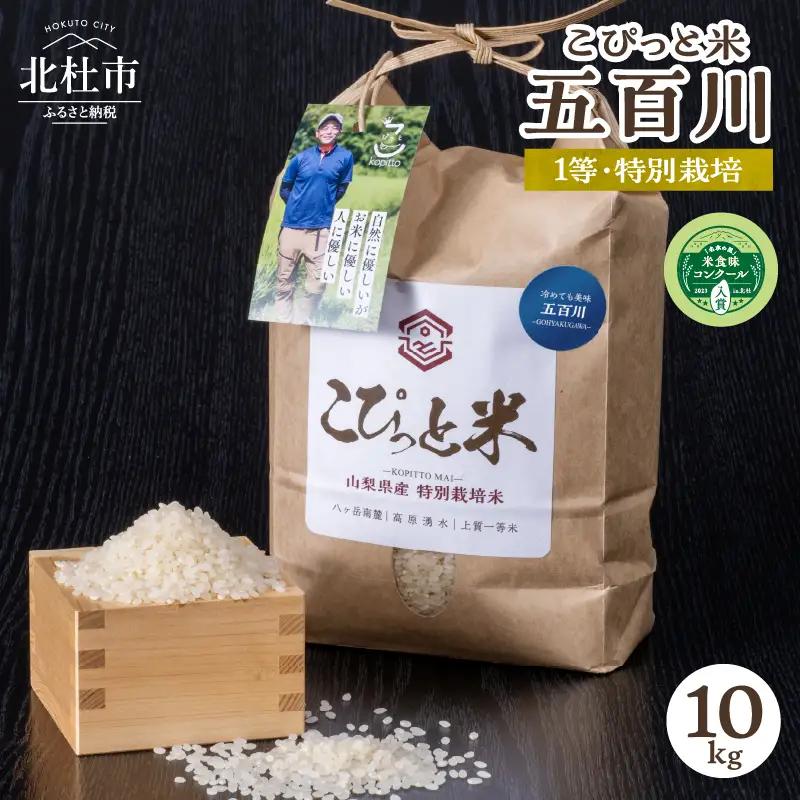 【令和7年度米】こぴっと米【五百川】10kg　1等特別栽培米100％  米 精米 10kg こぴっと米 早生品種 令和7年産 北杜市産 お米 [h020]
