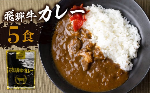 【1月発送】飛騨牛カレー (5袋) ビーフカレー 飛騨牛 カレー レトルトカレー  簡易包装 ふるさと清見  DC005VC01