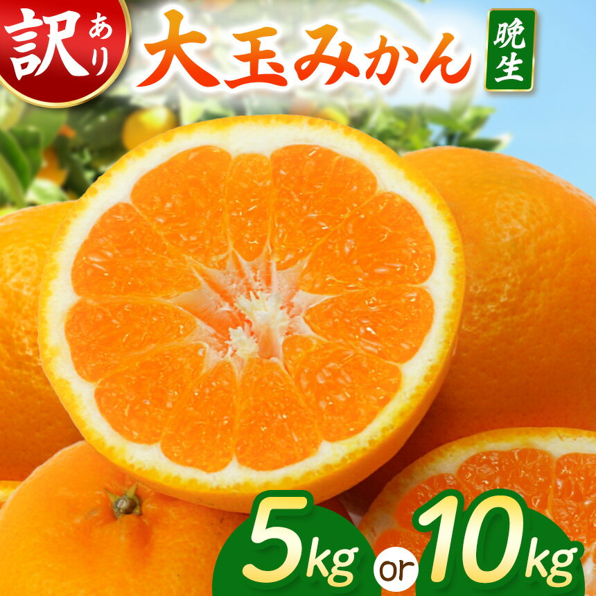 【ふるさと納税】 訳あり 大玉みかん 大小混合 選べる内容量 約 5k 10kg | 果物 熊本県 なごみ町産 みかん 訳あり 大きいサイズ ミカン 和水町