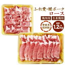 【ふるさと納税】ふれ愛・媛ポーク ロース 焼肉 生姜焼用 セット 合計 約1.2kg 各600g 豚肉 ぶたにく お肉 肉 愛媛県 銘柄豚 冷凍 愛媛県産 国産 送料無料 (84)