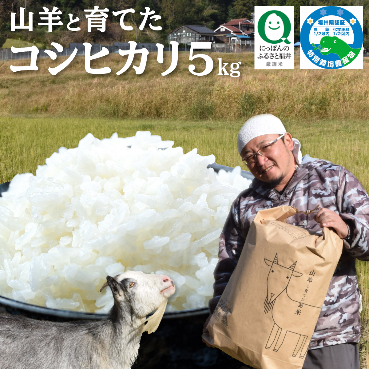 令和7年産 福井県産 特別栽培米 『コシヒカリ』5kg (単一原料米) ＜数量限定＞ [003-a001-A]【敦賀市ふるさと納税】