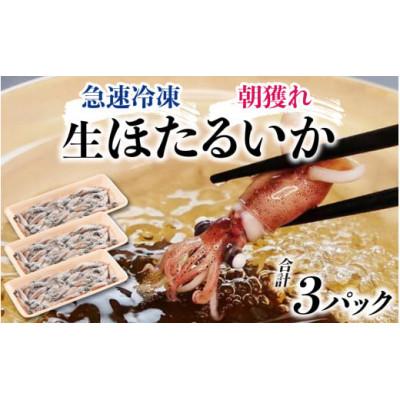 ふるさと納税 滑川市 生ホタルイカ(急速冷凍)