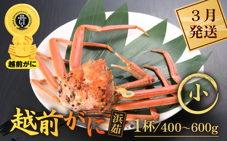 【3月発送】越前がに本場の越前町からお届け！浜茹で越前かに 小サイズ（生で400～600g） × 1杯  [e43-x005_03] カニ かに 越前がに 越前ズワイガニ 越前かに 越前カニ 姿 