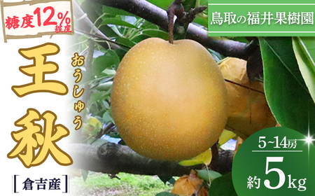 王秋 5kg【倉吉産】 福井果樹園 梨 なし ナシ おうしゅう 王秋 ブランド梨 鳥取 5kg 果物 フルーツ 和梨 先行予約 数量限定 詰め合わせ 人気 甘い 鳥取県 倉吉市 梨 梨 梨 梨 梨 梨