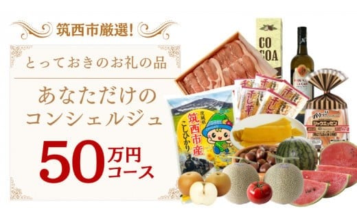 
筑西市厳選！ とっておきのお礼の品 あなただけの コンシェルジュ 50万円 コース オーダーメイド サービス [ZZ020ci]
