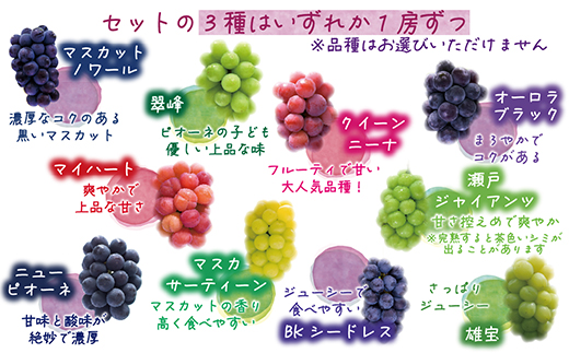 【2026年先行受付】岡山　花笑み農園の『食べ比べ4種』シャイン入り　優品　2kg(4房)4M-2優【配送不可地域：離島】