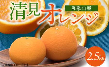 G7328_とにかくジューシー 清見 オレンジ 2.5kg フルーツ 果物 柑橘 果実 甘い 果汁 ジューシー コク 柑橘の親 国産 食品 食べ物 魚鶴商店 平成の三大柑橘 お取り寄せ 和歌山県 湯浅町 送料無料
