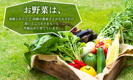 【季節のお野菜と金賞受賞ひばり工房3大人気セット】お野菜セット 熊本県産 旬の野菜と果物 4～6品 野菜 お野菜 本場ドイツ食肉コンテストsuffa 金賞受賞 ベーコンブロック プレスハム ポークソー