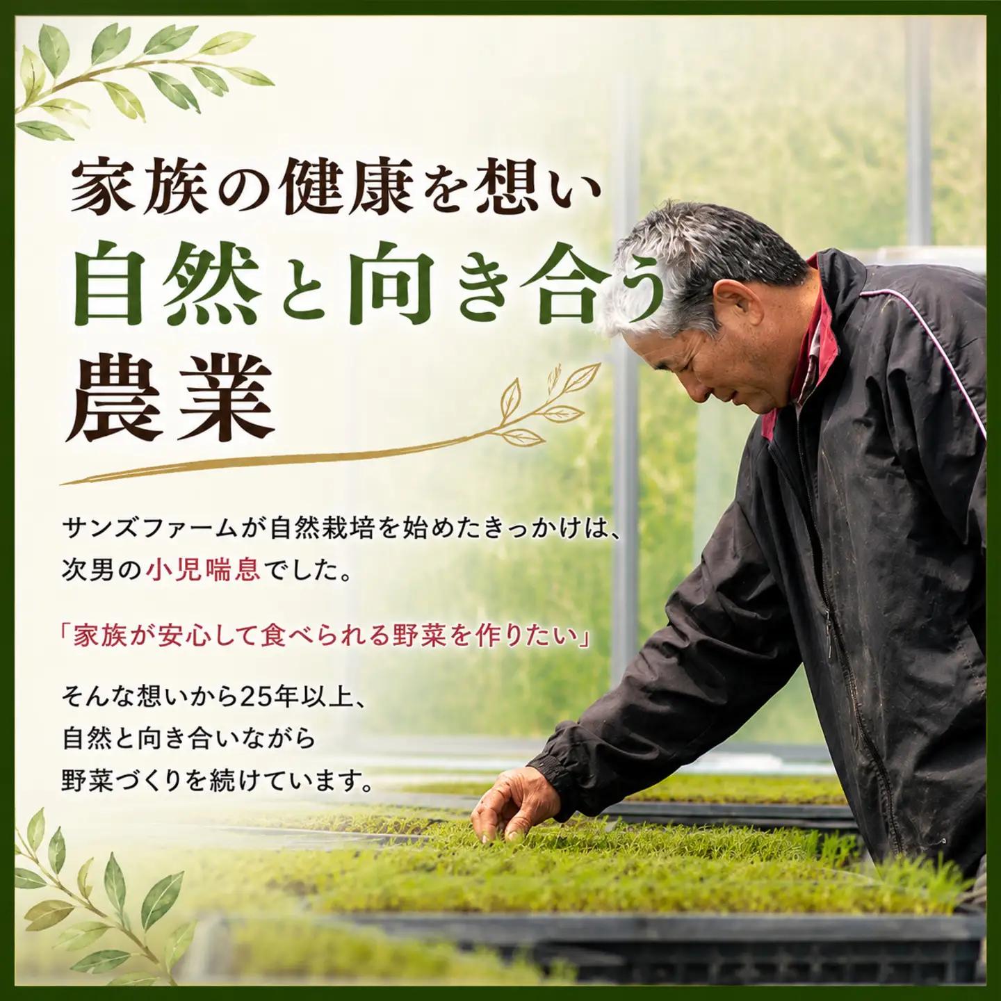 定期便 旬野菜セット 全3回 毎月