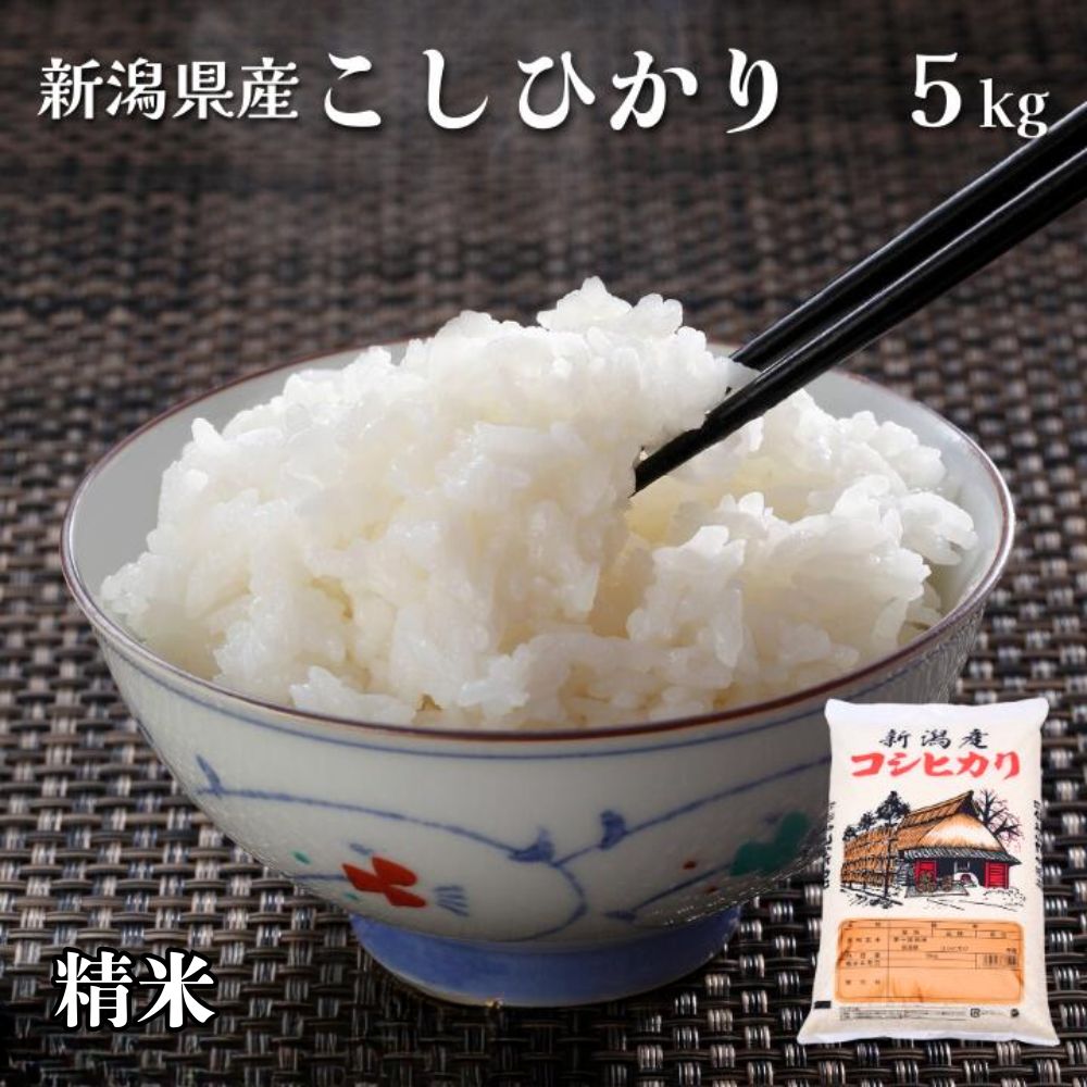 【ふるさと納税】 米 5kg 令和7年産 こしひかり 精米　せいまい 米 こめ コメ 新潟県 産 おすすめ オススメ