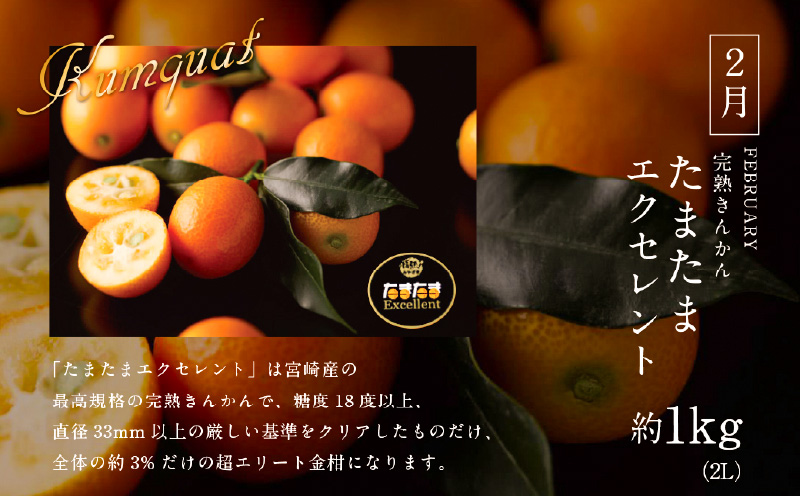 《2026年発送先行予約》【数量・期間限定】青果店厳選！「3ヶ月お届け！くだもの定期便Vol.3」_M153-T023