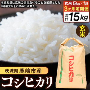 先行予約 令和8年産【3ヶ月定期便】 米 コシヒカリ 5kg × 3回 玄米 鹿嶋市産