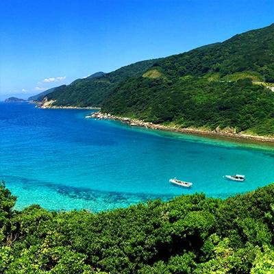 ふるさと納税 大月町 朝どれ 鮮魚 おまかせ 3〜5kg 詰め合わせ 海鮮 魚介 刺身 高知県 大月町 冷蔵 直送 |  | 01