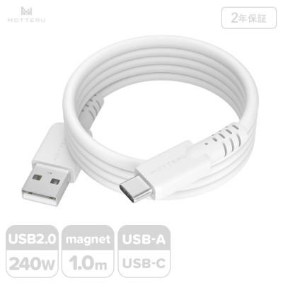 ふるさと納税 海老名市 マグネットシリコンケーブル A to C 1m エアリーホワイト(MOT-MGSAC100)