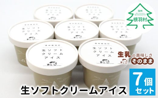 森の駅ネバーランドで1日最高800個売れた！ソフトクリームをアイスにしました