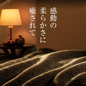 カルドニード・エリート 敷き毛布 シングル (100×205cm) [4215]