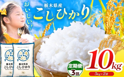 【栃木県共通返礼品】【令和7年度産】 訳あり 栃木県産コシヒカリ 30kg |定期便 選べる ふるさと 納税 コシヒカリ お米 精米 白米 玄米 大粒 共通返礼品 送料無料 那珂川町 栃木県