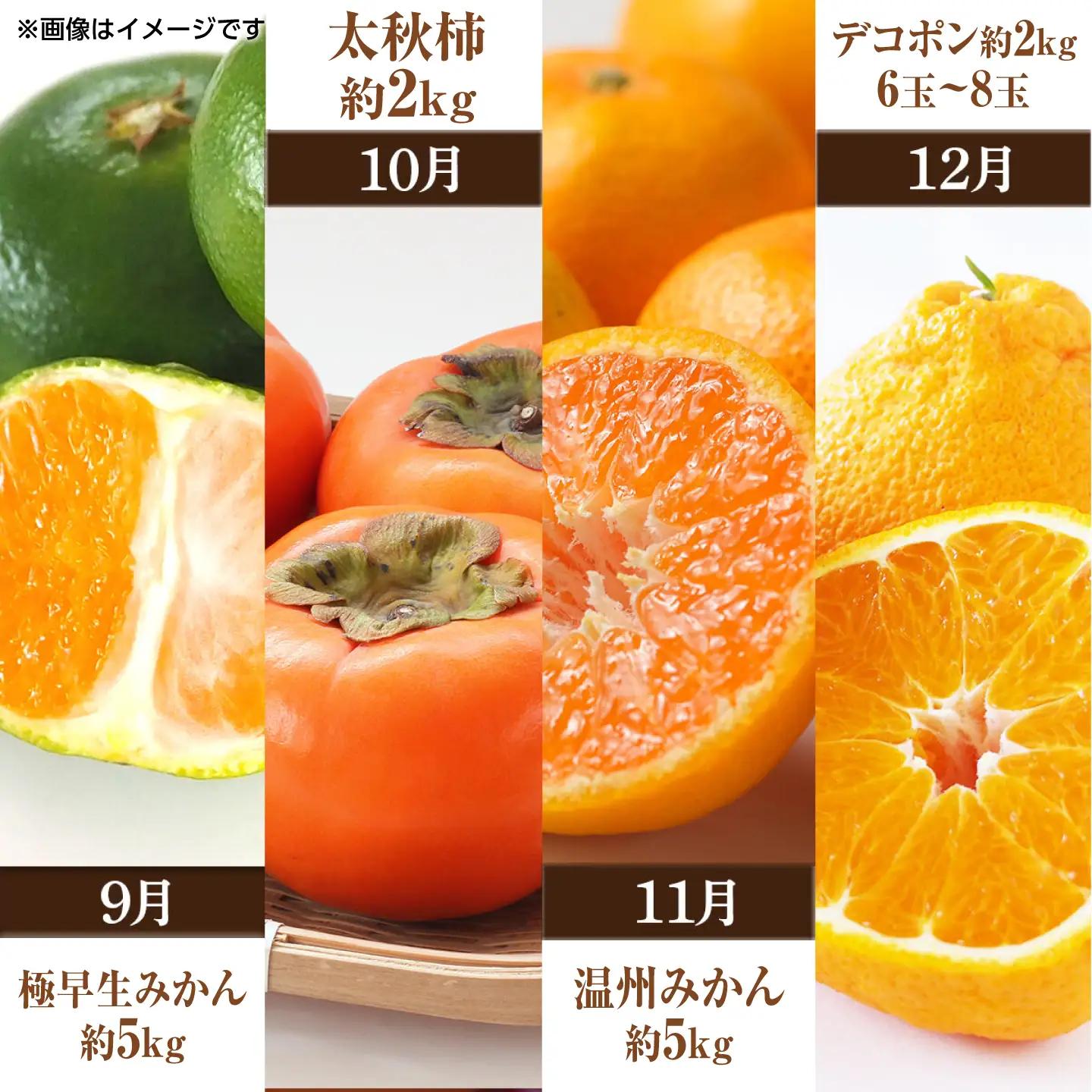 【先行予約】【全10回定期便】 プロが選ぶ！ 旬 の 果物 10ヶ月 定期便【くまふる】[ZBG086]