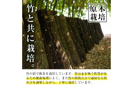 i343 鹿児島県出水市産！原木乾しいたけ200g(100g×2パック)原木栽培の国産椎茸を干しシイタケに！【シンタク】