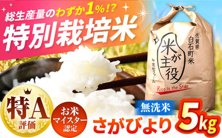 【先行予約】令和8年産 さがびより5kg 無洗米 さがびより IBV002