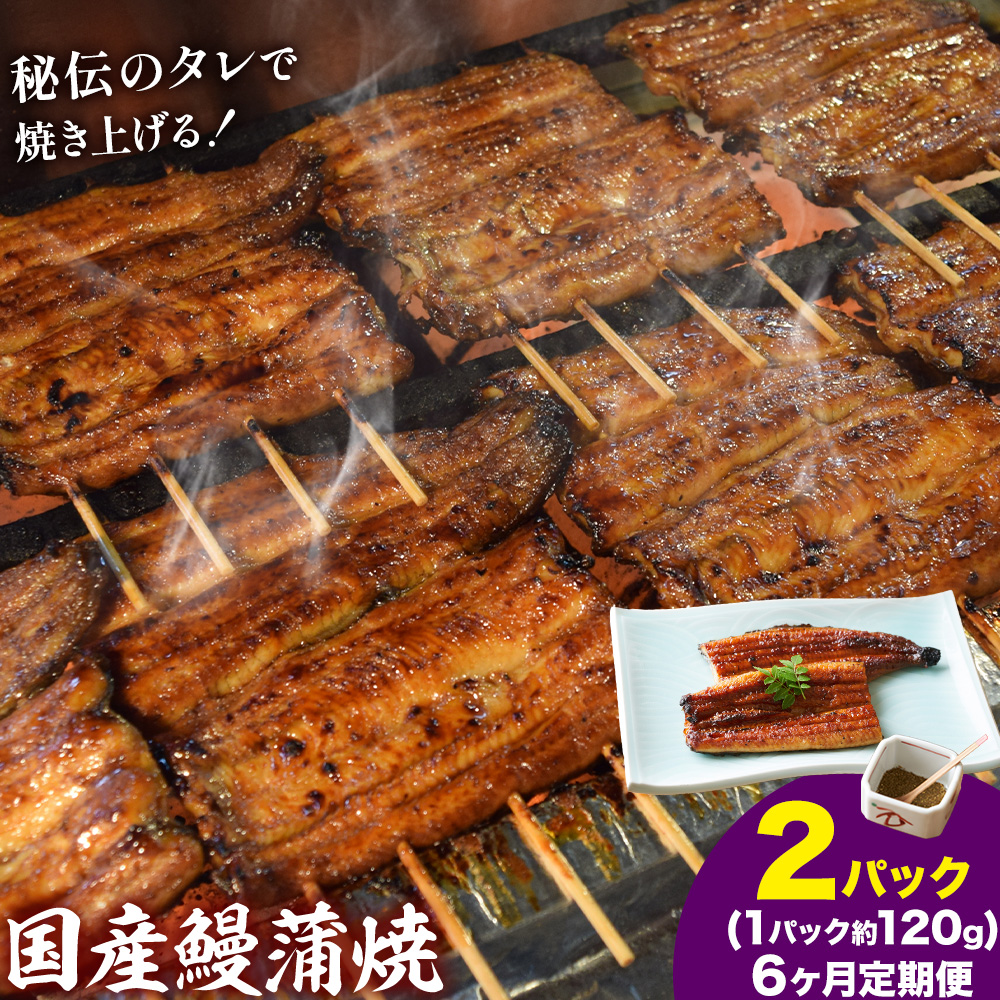 【6ヶ月定期便】鰻 国産鰻蒲焼 2パック 約 120g ×2 有限会社安井家《お申込み翌月から出荷》千葉県 我孫子市  鰻 うなぎ 蒲焼 丑の日 蒲焼き 冷蔵 タレ 山椒【配送不可地域あり】(離島)---abiko_ysi_5_2p_6tei---