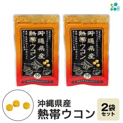 ふるさと納税 糸満市 【金秀バイオ】沖縄県産 熱帯ウコン 90粒 2袋セット 60日分 (約2ヶ月分) サプリ