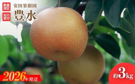 No.2608梨　豊水　約3kg【2026年発送】