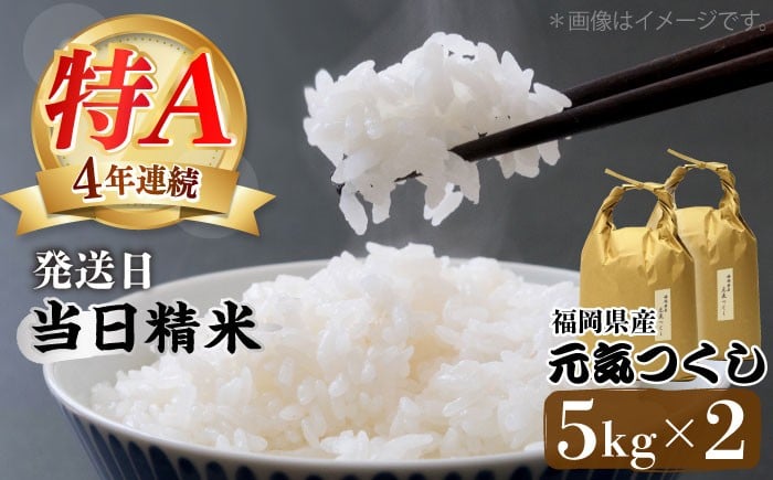 
                  米 【特A】「元気つくし」 5kg×2袋 [10kg] [白米] 《築上町》【株式会社ベネフィス】 [ABDF030] 米 白米 精米 ご飯 ごはん こめ コメ 40000 40000円
                