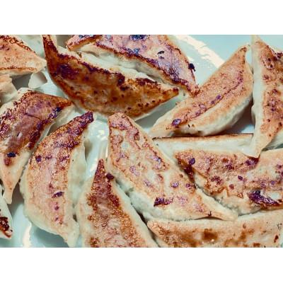 ふるさと納税 磐田市 ふくすけ餃子 計60個 冷凍生