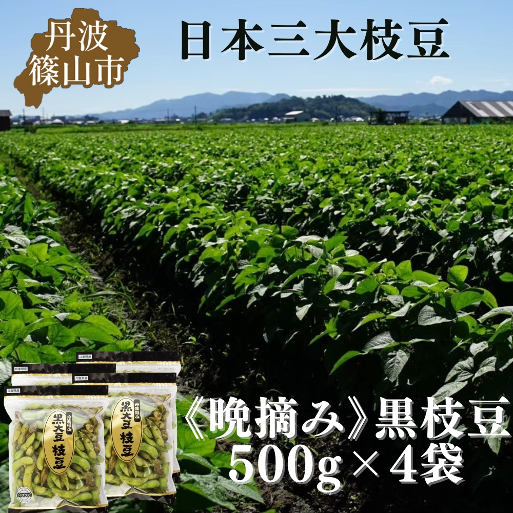 
            秋の味覚「丹波黒枝豆」  濃厚なコク・500g×4袋　晩摘み 【2025年10月22日～11月上旬頃お届け予定】　プレミアム枝豆 期間限定 黒枝豆 えだまめ エダマメ お取り寄せグルメ 高級 特産品 名産品 おつまみ おうち居酒屋
          