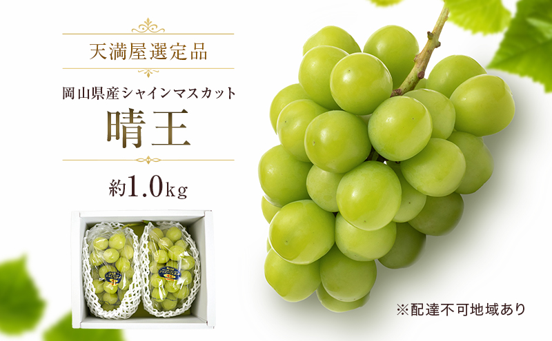 【天満屋選定品】岡山県産 シャインマスカット 晴王 約1.0kg（2026年発送）