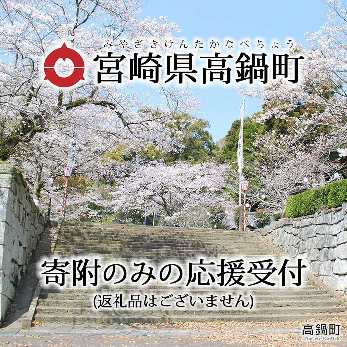 【ふるさと納税】＜寄附のみの応援受付 (返礼品はございません)＞ 宮崎県 高鍋町 支援 応援 返礼品なし 寄付
