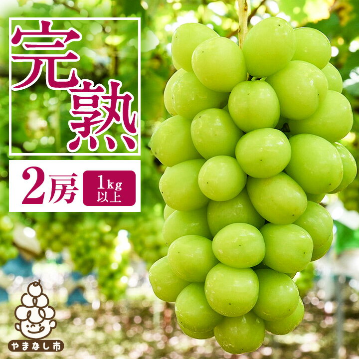 【ふるさと納税】【2026年先行予約】完熟 シャインマスカット 2房 (1kg以上) 世界農業遺産認定地特産_ ふるさと納税 ふるさと マスカット ぶどう ブドウ 葡萄 フルーツ 果物 くだもの 人気 美味しい 山梨県 山梨市 山梨 【配送不可地域：離島】【1117448】