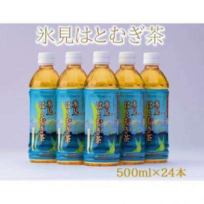 ふるさと納税 氷見市 氷見はとむぎ茶　ペットボトル500ml×24本