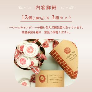 赤れんが ポルボロン 3箱（12個×3） ポルポローネ クッキー