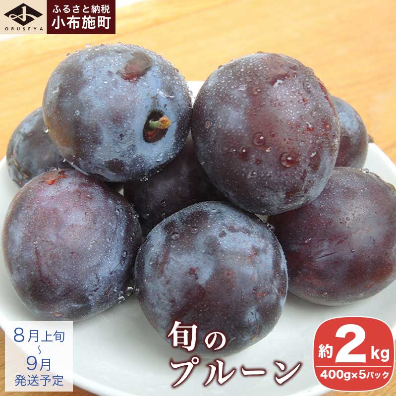 【ふるさと納税】長野県産 旬のプルーン 約2kg ［小布施屋］ 生プルーン 果物 フルーツ 長野県産 信州産 先行予約 数量限定 夏 令和7年産 【2025年8月上旬～9月発送】